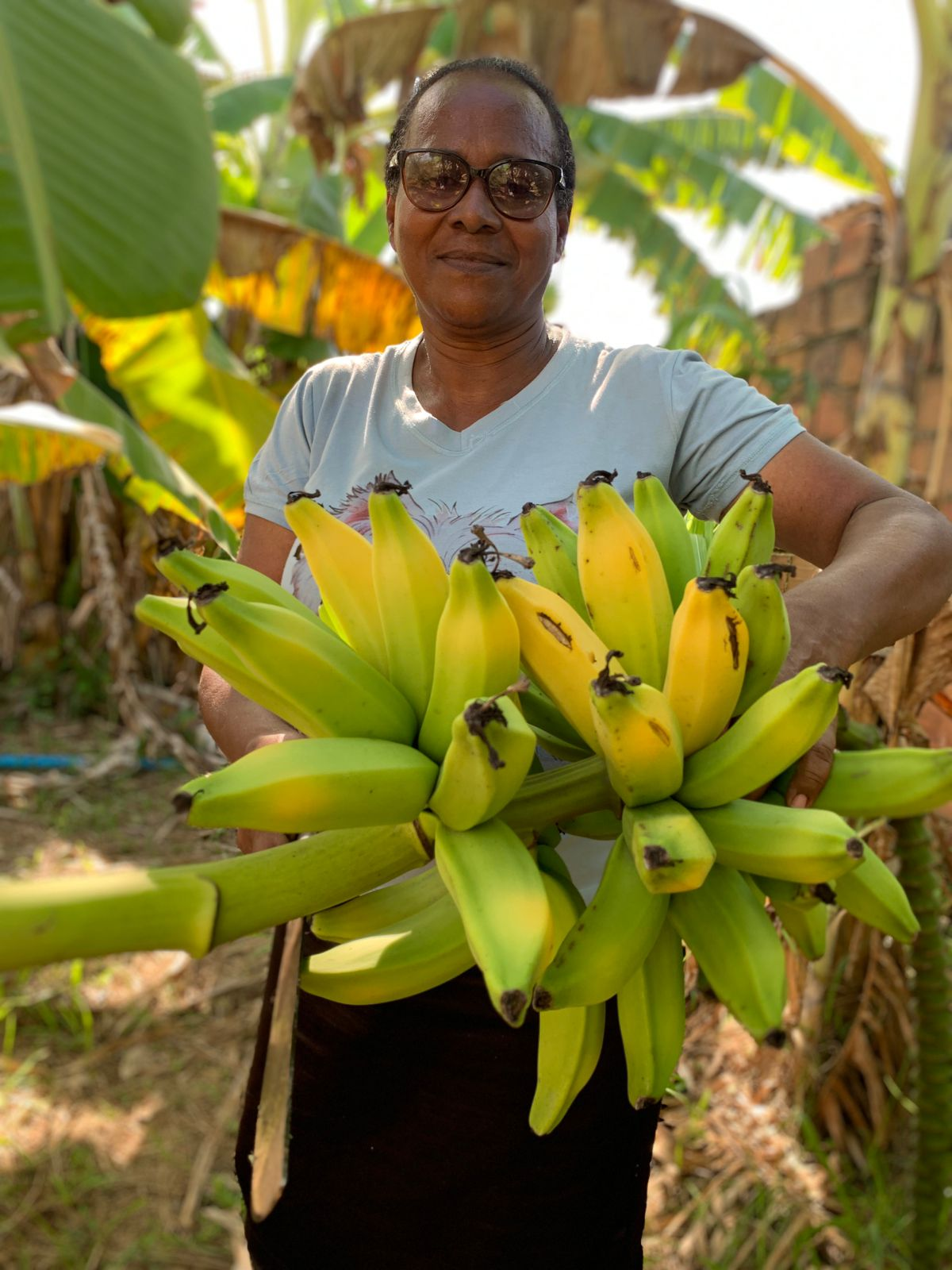 Cáritas Quintais Ecoprodutivos intercâmbio intercomunitário promove